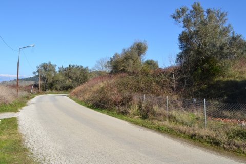 14700m² Land à Corfu, Greece No. 59874 4