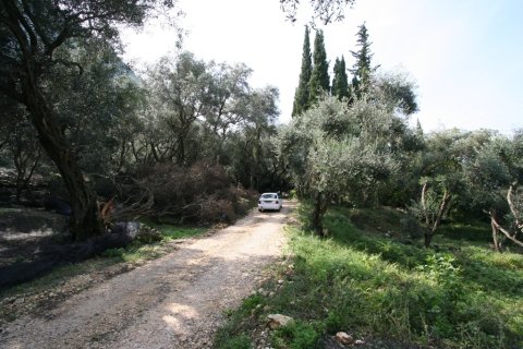 40000m² Land en Corfu, Greece No. 59873 9