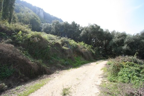 40000m² Land in Corfu, Greece No. 59873 11