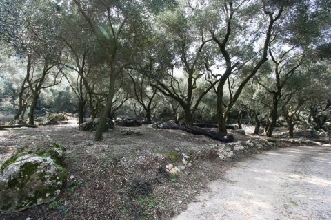 40000m² Land en Corfu, Greece No. 59873 2