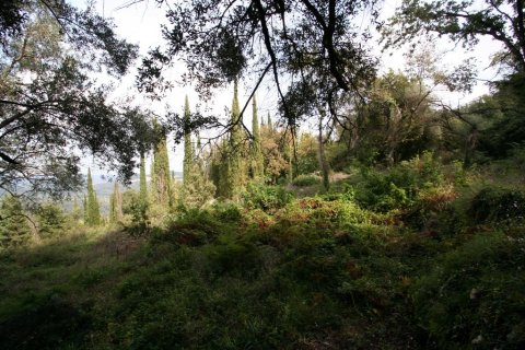 40000m² Land in Corfu, Greece No. 59873 12