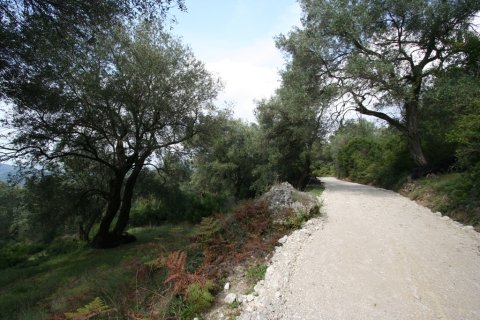 40000m² Land en Corfu, Greece No. 59873 15