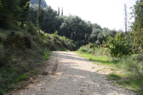 40000m² Land in Corfu, Greece No. 59873 4