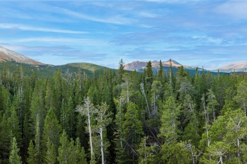 Land in Breckenridge, USA No. 62265 9