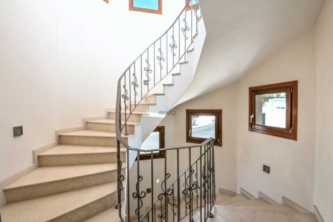 6 dormitorios Villa en Limassol, Cyprus No. 63058 9