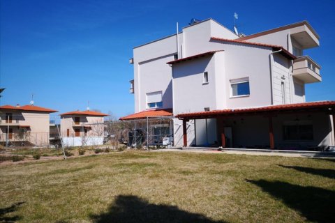 6 bedrooms Villa in Thessaloniki, Greece No. 50650 7