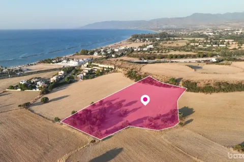 9031m² Land en Paphos, Cyprus No. 36405 2