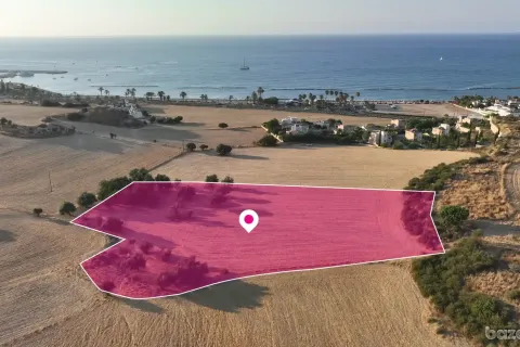 9031m² Land in Paphos, Cyprus No. 36405 3