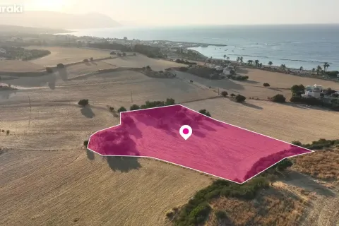 9031m² Land in Paphos, Cyprus No. 36405 4