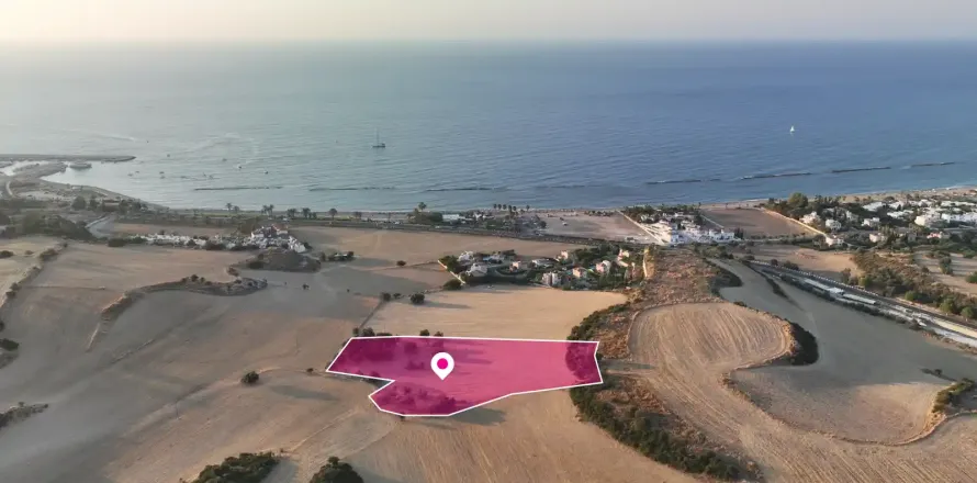 9031m² Land in Paphos, Cyprus No. 36405