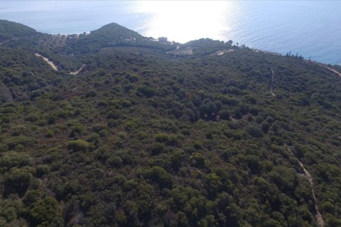 12415m² Land in Chalkidiki, Greece No. 58948 2