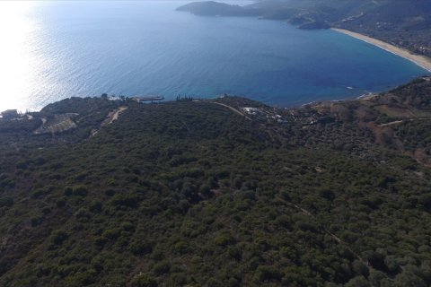 12415m² Land en Chalkidiki, Greece No. 58948 1