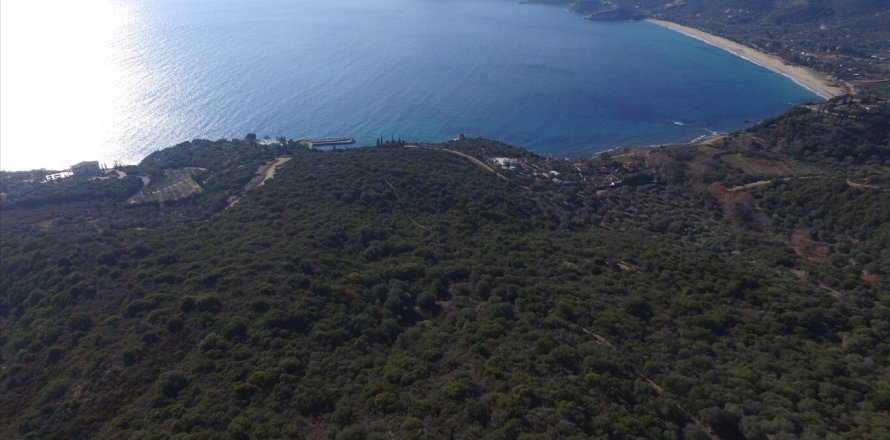 12415m² Land à Chalkidiki, Greece No. 58948