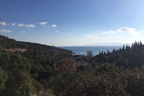 12415m² Land à Chalkidiki, Greece No. 58948 3