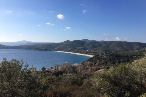 12415m² Land en Chalkidiki, Greece No. 58948 4