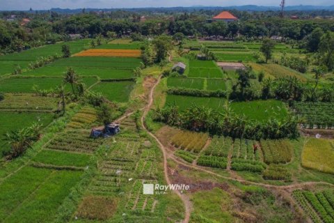 Land à Klungkung, Indonesia No. 22653 9