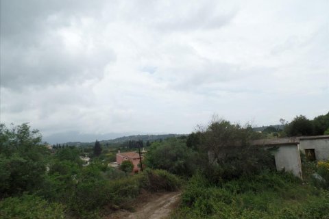 15000m² Land in Corfu, Greece No. 58160 3