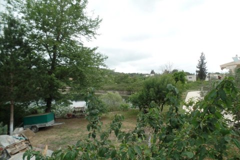 15000m² Land in Corfu, Greece No. 58160 9