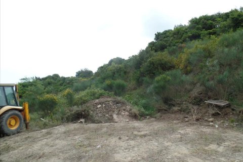 15000m² Land in Corfu, Greece No. 58160 6