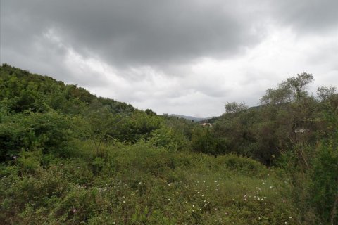 15000m² Land en Corfu, Greece No. 58160 4