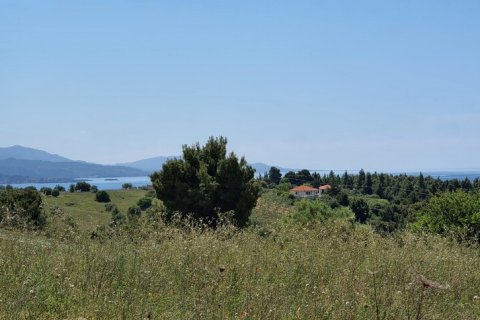 4000m² Land en Chalkidiki, Greece No. 56318 2