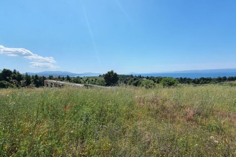 4000m² Land en Chalkidiki, Greece No. 56318 8