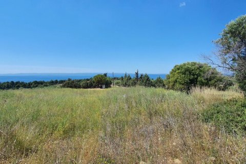 4000m² Land in Chalkidiki, Greece No. 56318 4