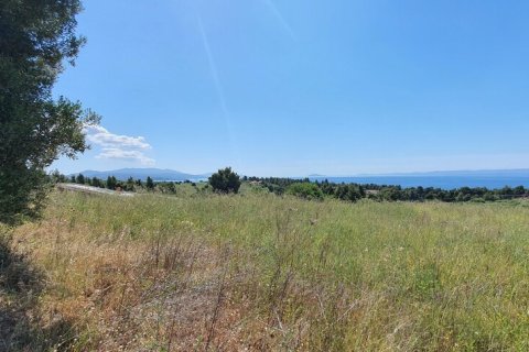 4000m² Land in Chalkidiki, Greece No. 56318 3