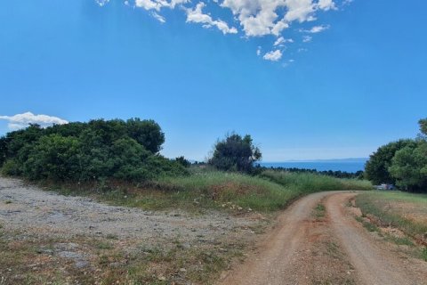 4000m² Land en Chalkidiki, Greece No. 56318 9