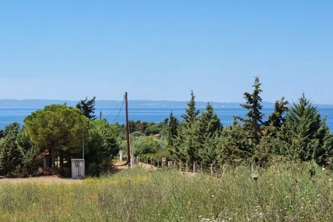 4000m² Land en Chalkidiki, Greece No. 56318 6