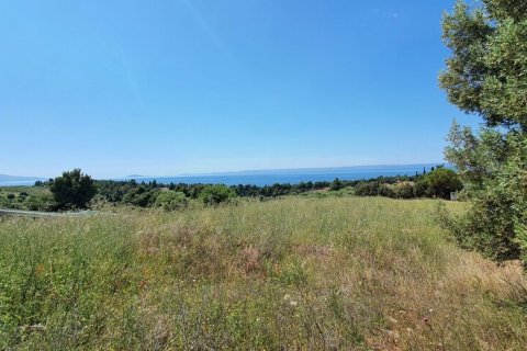 4000m² Land in Chalkidiki, Greece No. 56318 7