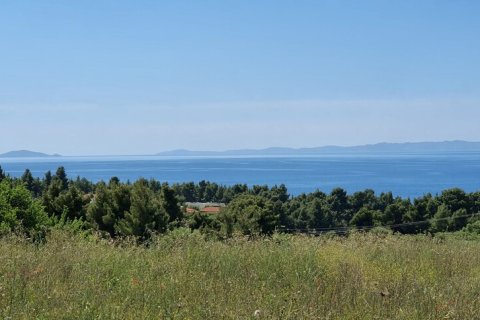 4000m² Land in Chalkidiki, Greece No. 56318 5