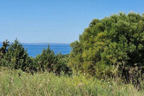 4000m² Land en Chalkidiki, Greece No. 56318 1