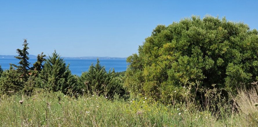 4000m² Land in Chalkidiki, Greece No. 56318