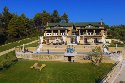 420m² Villa in Chalkidiki, Greece No. 56452 5