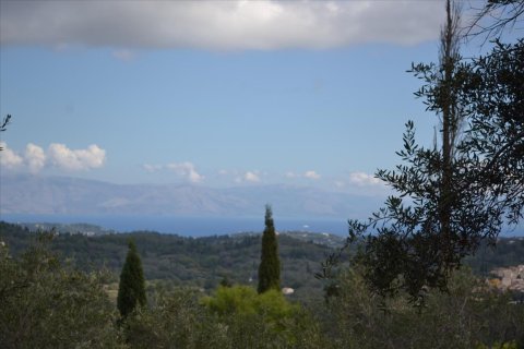 4673m² Land en Corfu, Greece No. 56451 13