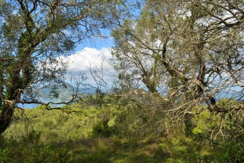 4673m² Land à Corfu, Greece No. 56451 2