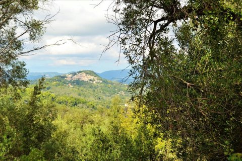 4673m² Land in Corfu, Greece No. 56451 6