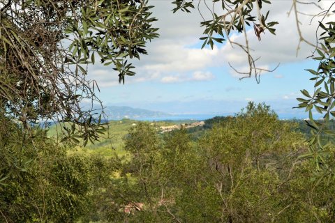 4673m² Land in Corfu, Greece No. 56451 14