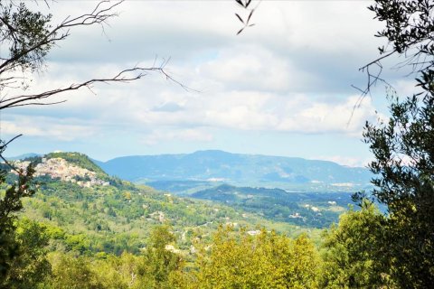 4673m² Land en Corfu, Greece No. 56451 1