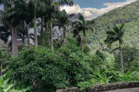 3 chambres House à Saint Paul, Dominica No. 66285 6