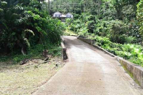 3 chambres House à Saint Paul, Dominica No. 66285 3