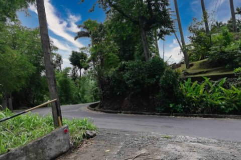 3 chambres House à Saint Paul, Dominica No. 66285 2