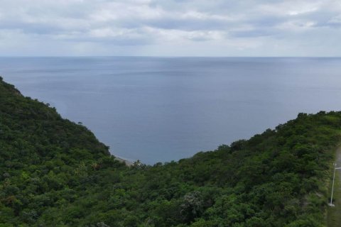 2 dormitorios Villa en Colihaut, Dominica No. 66270 25