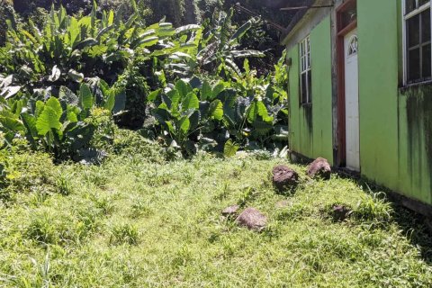 3 chambres House à Saint Paul, Dominica No. 66268 6