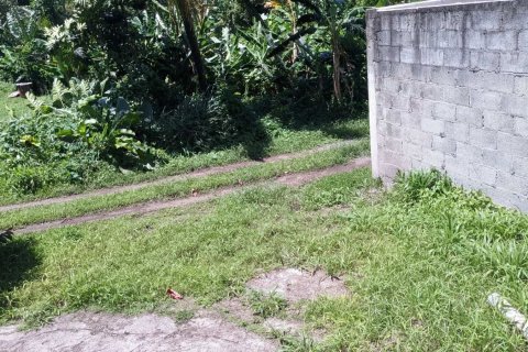 3 chambres House à Saint Paul, Dominica No. 66268 24