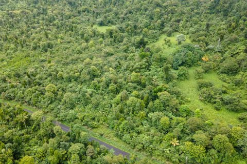 26305m² Land en Saint Joseph, Dominica No. 66267 4