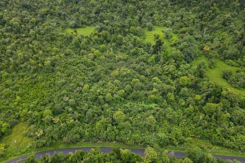 26305m² Land à Saint Joseph, Dominica No. 66267 5