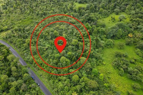 26305m² Land en Saint Joseph, Dominica No. 66267 1