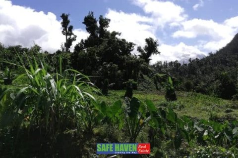 39943m² Land in Saint Joseph, Dominica No. 66284 9